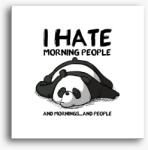 Los Polos I hate morning people vászonkép
