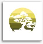 Los Polos Bonsai vászonkép