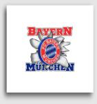 Los Polos FC Bayern München focis vászonkép