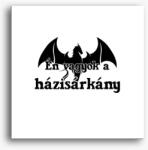 Los Polos Én vagyok a házisárkány páros vászonkép