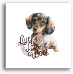 Los Polos Tacskó szivecskés vászonkép