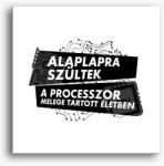 Los Polos Alaplapra szültek vászonkép