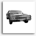 Los Polos Impala KAZ 2Y5 vászonkép