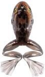 Live Target Freestyle Frog Unrigged 6cm Bronze White 3buc (F1.LT.FSF60T1041)