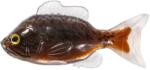 Live Target Sunfish Unrigged 8.5cm Black Brown 4buc (F1.LT.SFU85SK1050)