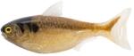 Live Target Shad Unrigged 14cm 14g Brown Natural 2buc (F1.LT.SGU140SK1065)