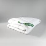  Family Soft - Antiallergén EXTRA vastag téli dupla paplan - csomagos (PP0015-SZ-4)