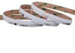 24LED Banda LED Digitala 420LED COB , 24V , 14W , RGB 1903 IC , IP20 , 10mm