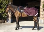 Horseware Ireland Amigo Ripstop Competition fügebarna - S