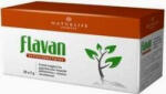 Naturlife Flavan gyümölcstea filteres 20db