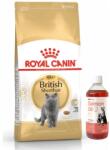Royal Canin British Shorthair 10kg hrană uscată pentru pisici adulte British Shorthair+LAB V Salmon Oil pentru câini și pisici 500ml