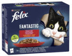 FELIX Fantastic házias válogatás aszpikban nedves eledel felnőtt macskáknak 12x85g