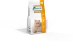 VetExpert VetExpert Veterinary Diet Renal macskáknak 2kg