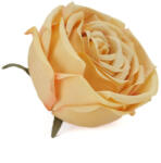  Rózsafej barack - virágdekorációhoz és koszorúhoz