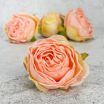  Százlevelű rózsa fej - cirmos barack 4db/csomag - virágdekorációhoz és koszorúhoz