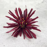  Kínai krizantém fej - bordó - virágdekorációhoz és koszorúhoz