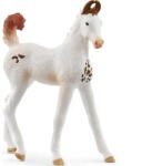 Schleich 14896 Marwari csikó (14896) - morzsajatekbolt