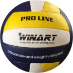 Winart Röplabda WINART PRO LINE No. 5 (514) - sportjatekshop
