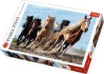 Trefl Puzzle Trefl 1000 Cai La Galop (vvt10446) Puzzle