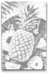  PontPöttyöző - Lédús ananász Méret: 20x30cm, Keretezés: Kartonlemezen, Szín: Fekete
