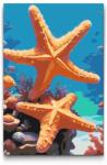 Festés számok szerint - Tengericsillag Méret: 20x30cm, Keretezés: Keret nélkül (csak a vászon)