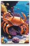  Festés számok szerint - Rák a tengerben Méret: 40x60cm, Keretezés: Keret nélkül (csak a vászon)