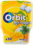 Mars Wrigley's Orbit frissítők, gyümölcsízzel, édesítőszerekkel, 30db, 67g