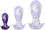 Anal Predator Squid Tentak - érzéki anális dugó, prémium kivitel 11 cm - szexvital