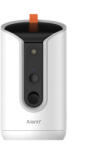 Arenti PETCAM1T