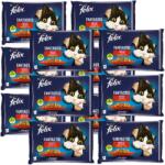 FELIX FELIX Vidéki ízek zselében nyúllal és báránnyal 12x (4x85g)