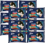 FELIX FELIX Fantasztikus csirke és marhahús zselé 12x (4x85g)