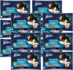 FELIX FELIX Halízek zselében lazaccal és sima lepényhalakkal 12x (4x85g)