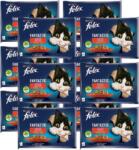 FELIX FELIX Vidéki ízek zselében marhahússal és csirkével 12x (4x85g)
