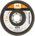 Evotools Disc Lamelar Frontal 40#, 125Mm (614099)