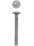Evotools Surub Torbant Zincat Din 603 / M10 X 60/65Mm / 100Buc (650578)