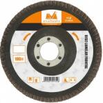 Evotools Disc Lamelar Frontal 40#, 115Mm (614098)