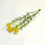  Sárga rezgő, 3 virág/cs. , hossza kb. 10 cm