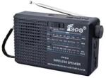 ZQS FP-813