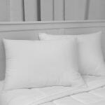Pucioasa Set 2 perne Economy matlasate 50x70cm