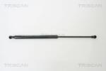 TRISCAN Amortizor capota TRISCAN 8710 10100 (8710 10100) - fixbox