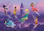  AG Design Fairies Tündérek Disney FTDS1925 közepes méretű poszter (FTDS_1925)