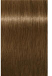 Schwarzkopf Igora Royal Absolutes Vopsea permanentă 60 ml (SK1886354)