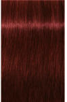 Schwarzkopf Igora Royal Vopsea de Păr Permanentă 60ml Culoare Intensă și Durabilă (SK1689034)