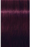 Schwarzkopf Igora Royal Vopsea de păr permanentă 60 ml (SK1689019)