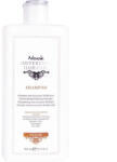 Nook Șampon Fortifiant pentru Părul Uscat, Bogat în Antioxidanți, Nook Difference Hair Care Repair Restructuring Fortifying (NO0603)