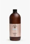 Nook Șampon Anti-Frizz pentru Păr Rebel, cu Formulă Disciplinantă și Curățare Delicată, Nook Magic ArganOil Discipline (NO27001)