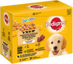 PEDIGREE Junior Selection Mix 12x100 g