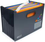 Rapesco Mapa Rapesco - Supafile, tip acordeon, cu 13 compartimente, neagra (1489)