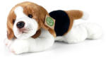 Rappa Plush caine beagle culcat 30 cm ECO-FRIENDLY (203952)