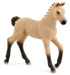 Schleich Animal - mânz hanovrian (102613929) Figurina